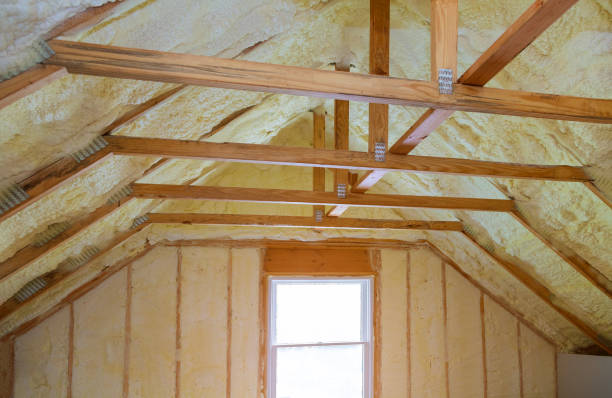 Best Eco-Friendly Insulation in Jonestown, TX